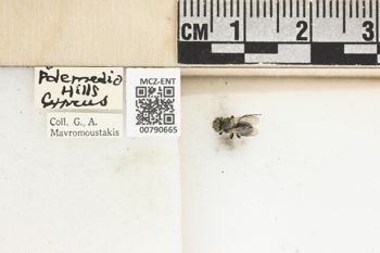 Media type: image;   Entomology 790665 Aspect: Labels